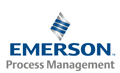 �������� � ����-����������� Emerson �� ��������� PlantWeb � Wireless � ������� ������ �������� ��������