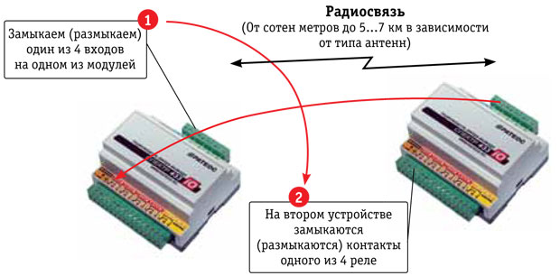 Ris-1.jpg