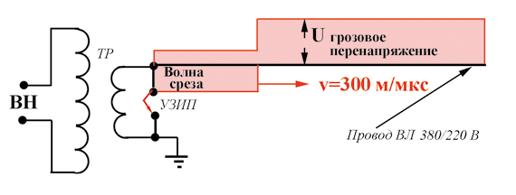 Ris.1.png