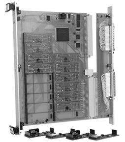 pic1.jpg