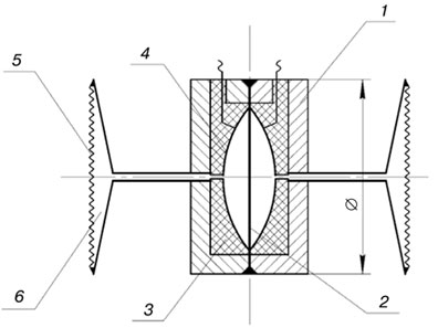 pic1.jpg