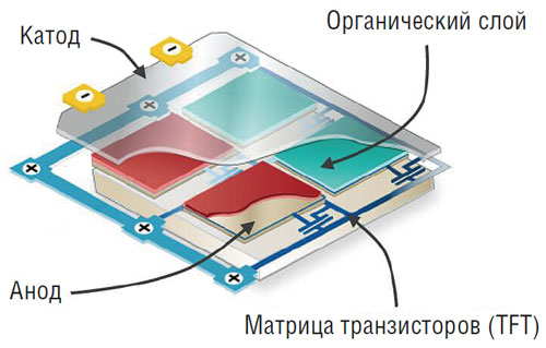 Ris_1.jpg Ris_1.jpg