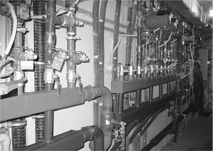 pic3.jpg