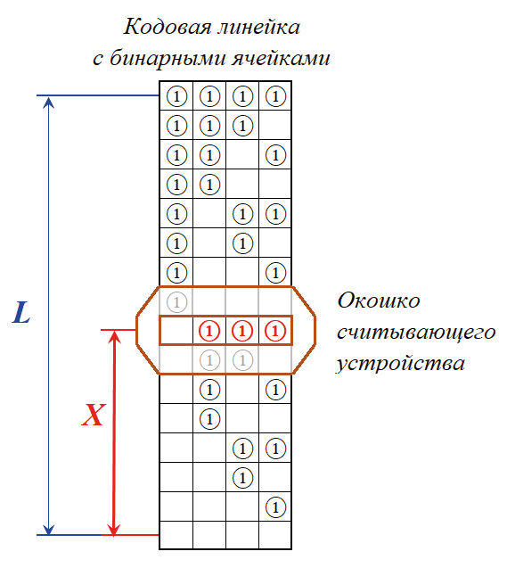 Ris_3.png