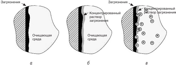 Ris_2.jpg Ris_2.jpg