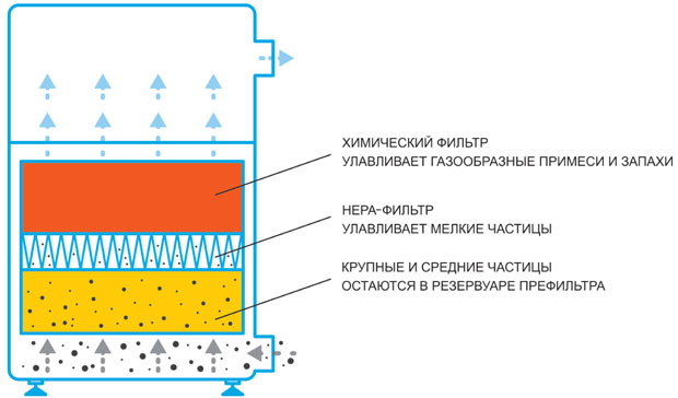 Ris_2.jpg Ris_2.jpg