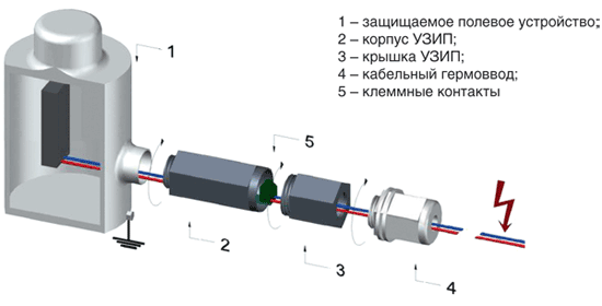 Ris.6.png