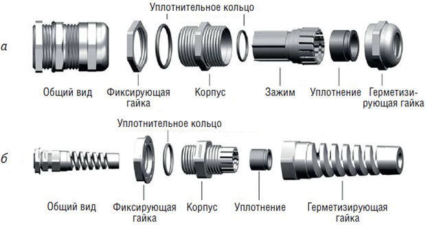 Ris_2.jpg Ris_2.jpg