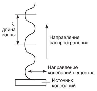 Ris_1.jpg Ris_1.jpg
