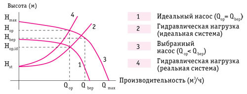 Ris-2.jpg