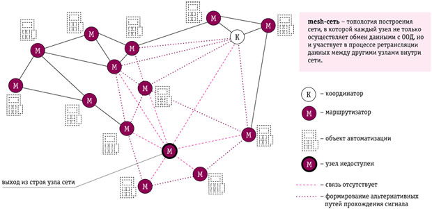 pic1.jpg