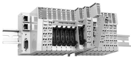 pic2.jpg