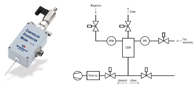 Ris_7.jpg Ris_7.jpg