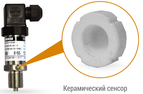 Ris_2.jpg Ris_2.jpg