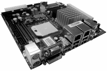 pic2.jpg