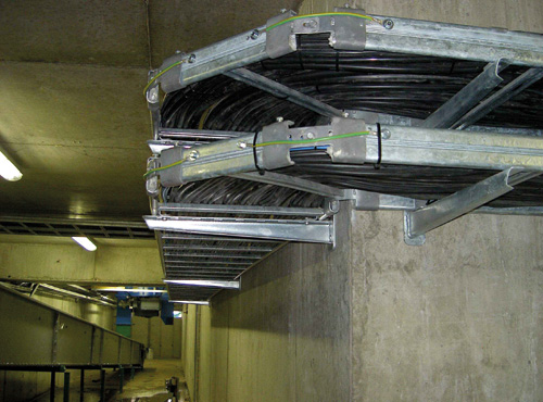 Ris_3.jpg Ris_3.jpg
