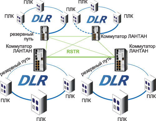 Ris.4.png