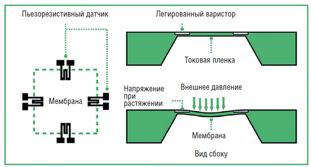 Ris_1.png Ris_1.png
