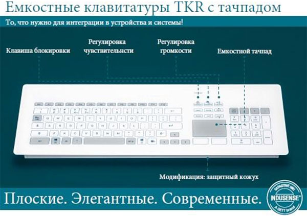 11-5.jpg 11-5.jpg