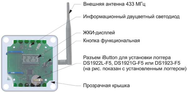 Ris_2.jpg Ris_2.jpg