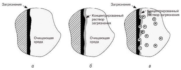 Ris_2.jpg Ris_2.jpg