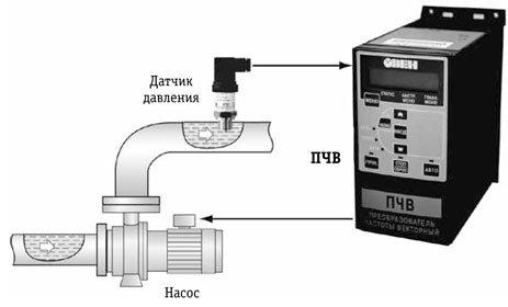 pic2.jpg