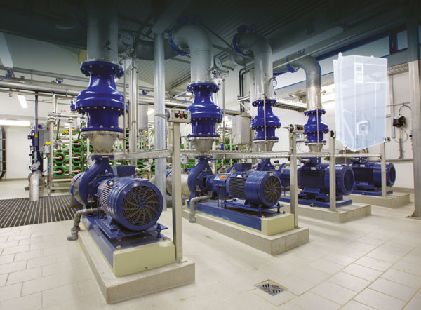 Ris_3.jpg Ris_3.jpg