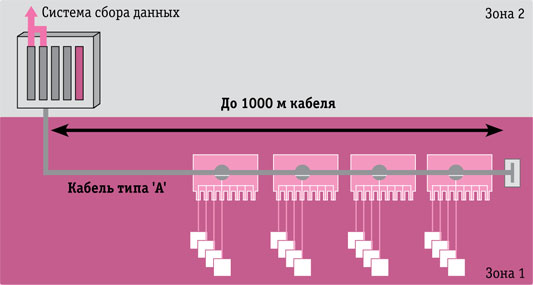 pic2.jpg