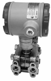 Ris-1.jpg